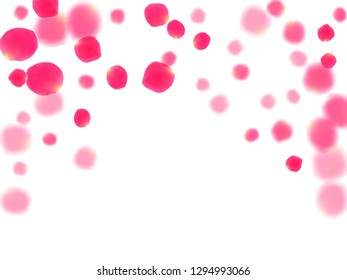 Pink rose petals falling vector valentine background. Airy 3d flower parts shower isolated on white. Crimson rose red pink petals spa background. Birthday or natural cosmetics design.