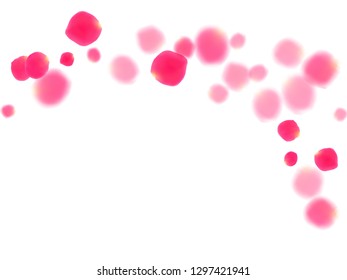 Pink rose petals falling vector valentine background. Light 3d flower parts shower isolated on white. Crimson rose red pink petals spa background. Valentine or natural cosmetics design.