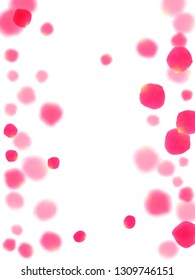 Pink rose petals falling vector valentine background. Stylish showering flower blossom parts vector. Crimson rose red pink petals spa background. Valentine or natural cosmetics design.