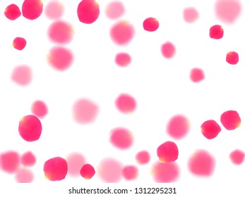 Pink rose petals falling vector valentine background. Idyllic showering flower bloom parts vector. Crimson rose red pink petals spa background. Valentine or natural cosmetics design.