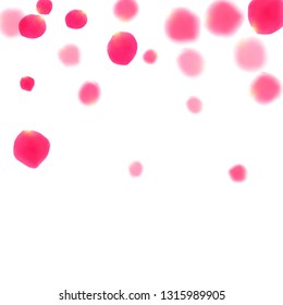 Pink rose petals falling vector valentine background. Magic showering flower bloom parts vector. Crimson rose red pink petals spa background. Wedding invitation or natural cosmetics design.