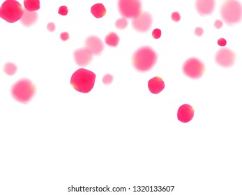 Pink rose petals falling vector valentine background. Modern showering flower blossom parts vector. Crimson rose red pink petals spa background. Wedding invitation or natural cosmetics design.