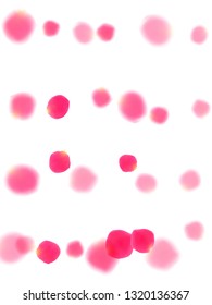 Pink rose petals falling vector valentine background. Beautiful 3d flower parts shower isolated on white. Crimson rose red pink petals spa background. Wedding invitation or natural cosmetics design.