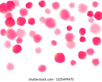 Pink rose petals falling vector valentine background. Gentle showering flower blossom parts vector. Crimson rose red pink petals spa background. Anniversary or natural cosmetics design.
