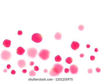 Pink rose petals falling vector valentine background. Creative 3d flower parts shower isolated on white. Crimson rose red pink petals spa background. Birthday or natural cosmetics design.