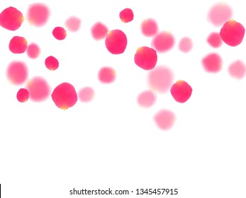 Pink rose petals falling vector valentine background. Stylish 3d flower parts shower isolated on white. Crimson rose red pink petals spa background. Wedding invitation or natural cosmetics design.