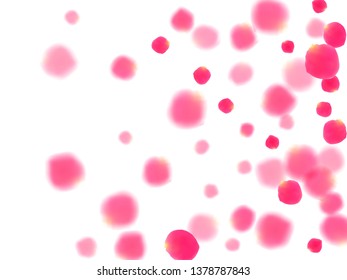 Pink rose petals falling vector valentine background. Blowing showering flower blossom parts vector. Crimson rose red pink petals spa background. Birthday or natural cosmetics design.