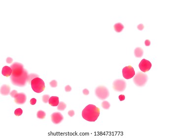 Pink rose petals falling vector valentine background. Creative showering flower blossom parts vector. Crimson rose red pink petals spa background. Valentine or natural cosmetics design.