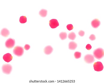 Pink rose petals falling vector valentine background. Natural 3d flower parts shower isolated on white. Crimson rose red pink petals spa background. Anniversary or natural cosmetics design.