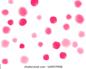 Pink rose petals falling vector valentine background. Creative 3d flower parts shower isolated on white. Crimson rose red pink petals spa background. Birthday or natural cosmetics design.