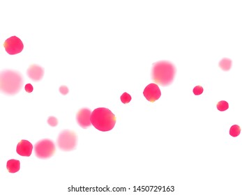 Pink rose petals falling vector valentine background. Elegant 3d flower parts shower isolated on white. Crimson rose red pink petals spa background. Valentine or natural cosmetics design.