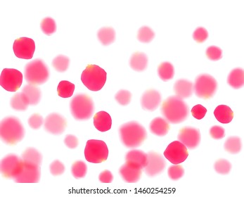Pink rose petals falling vector valentine background. Detailed 3d flower parts shower isolated on white. Crimson rose red pink petals spa background. Birthday or natural cosmetics design.