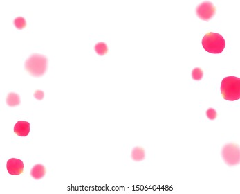 Pink rose petals falling vector valentine background. Gentle showering flower bloom parts vector. Crimson rose red pink petals spa background. Birthday or natural cosmetics design.
