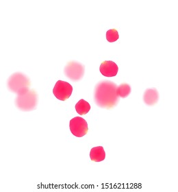 Pink rose petals falling vector valentine background. Elegant 3d flower parts shower isolated on white. Crimson rose red pink petals spa background. Anniversary or natural cosmetics design.