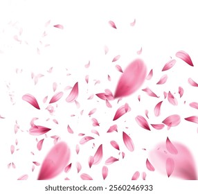 pink rose petals pattern background