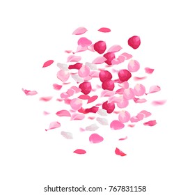Pink rose petals pile vector design set.Flying in the air flowers petal isolated on white background.Wedding celebration.Stylish fashion backdrop. Saint Valentines template.All elements are isolated