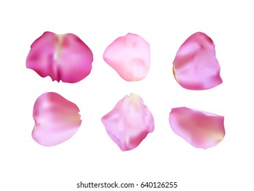 Pink rose petals set. Realistic vector