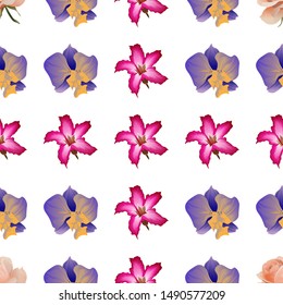 Pink Rose. Purple Orchid. Pink Adenium. Vector illustration. Seamless background pattern. Floral botanical flower. Wild leaf wildflower isolated. Exotic tropical hawaiian jungle. Fabric wallpaper.