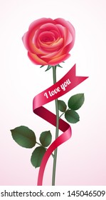 Pink rose with ribbon and the words I love you.