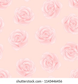 Pink Rose - Rosa on Pink Background. Valentine Day. Vector Illustration.