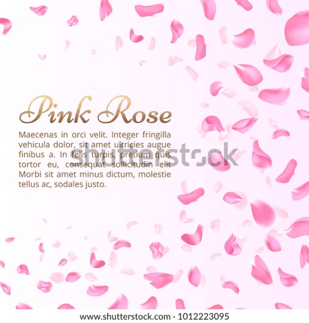 Similar – scattered petals of pink peony