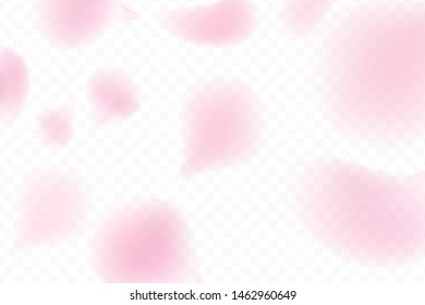 Pink rose or sakura petals falling and flying. Premium vector design template.