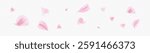 Pink rose or sakura petals. Spring Flowers. Romantic background. Vector illustration