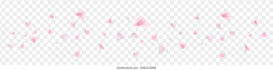 Pink rose or sakura petals. Spring Flowers. Romantic background. Vector illustration