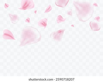 Pink rose or sakura petals. Spring Flowers. Romantic background. Vector illustration