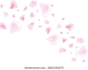 Pink rose or sakura petals. Spring Flowers. Romantic background. Vector illustration