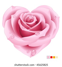 Pink Rose In The Shape Of Heart