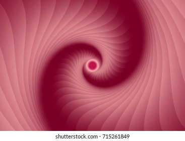 Pink rose spiral  abstract vector background