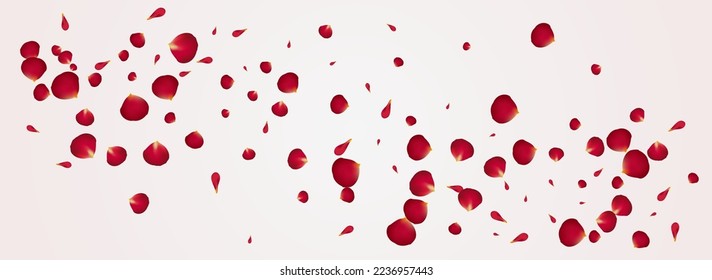 Pink Rose Spring Vector Panoramic White Background. Summer Floral Template. Beautiful Sakura Tender Pattern. Red Cherry Fall Backdrop.