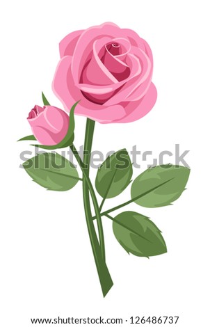 Pink Rose Stem Isolated On White Stock Vector (Royalty Free) 126486737