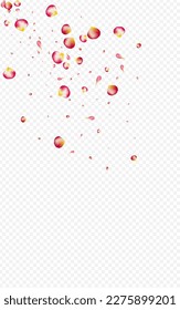 Pink Rose Summer Vector Transparent Background. Blur Sakura Poster. Beautiful Blossom Fly Banner. Red Flower Spring Frame.