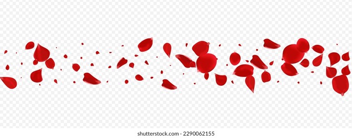 Pink Rose Tender Vector Panoramic Transparent Background. Summer Lotus Pattern. Red Cherry Japan Texture. Delicate Sakura Flying Wallpaper.