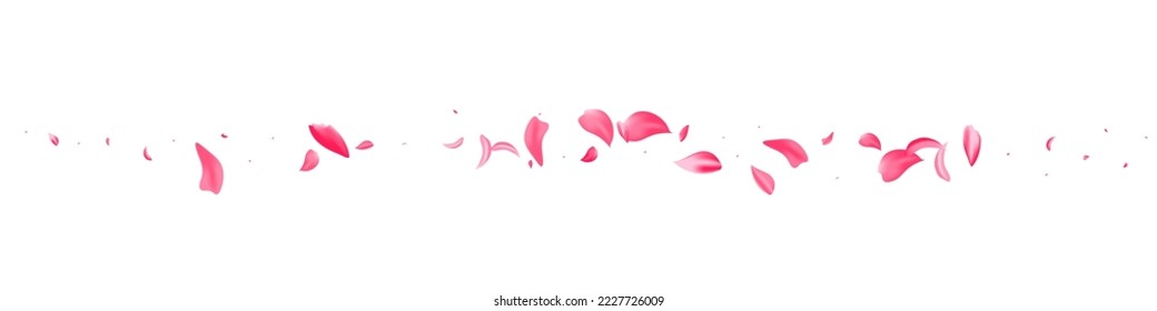 Pink Rose Tender Vector White Panoramic Background. Summer Sakura Pattern. Delicate Floral Falling Frame. Beautiful Petal Japan Poster.