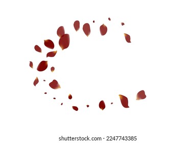 Pink Rose Tender Vector White Background. Blur Flower Template. Beautiful Lotus Fall Wallpaper. Burgundy Floral Fly Banner.