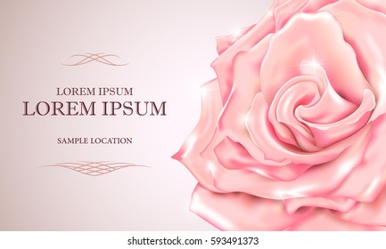 Pink rose with the text on the card or invitation. Vector 