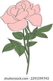 Pink rose with thin black outlines. High quality vector illustration.