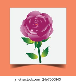pink rose vector design for any kind of animation or background