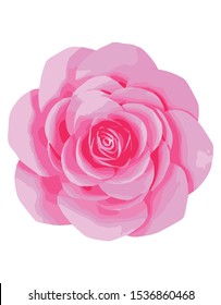 Pink Rose. Vector Flower. Pink Blossom.