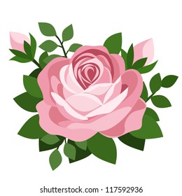 Pink rose. Vector illustration.