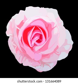 pink rose, Vector illustration.
