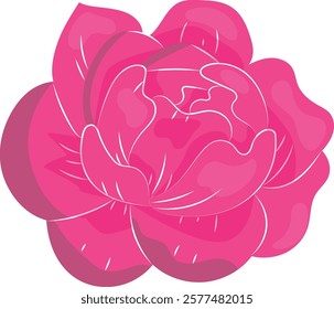 Pink Rose Vector Illustration - Botanical Floral Design Element for Wedding Invitations, Clip Art, and Decorative Graphic Projects