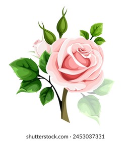 Rosa Rose. Vektorillustration einer rosa Rosenblume auf einem weißen Hintergrund. Blush Rose. Handgezeichnete Illustration, keine KI