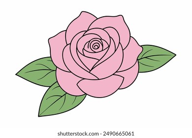 Pink Rose Vektorillustration Symbol Logo