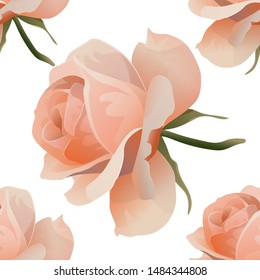 Pink Rose. Vector illustration. Seamless background pattern. Vector illustration. Floral botanical flower. Wild leaf wildflower isolated. Fabric wallpaper print texture.