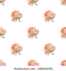 Pink Rose. Vector illustration. Seamless background pattern. Floral botanical flower. Wild leaf wildflower isolated. Exotic tropical hawaiian jungle. Fabric wallpaper print texture.