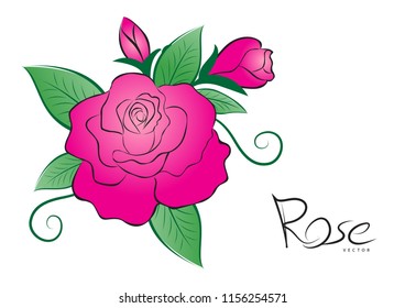 Pink rose vector illustration. vintage flower style on white background for valentines day card, fabric, wedding card, printing, banner, greeting card, website.